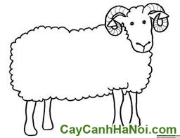 Cây May Mắn Quả Cầu Con Cừu