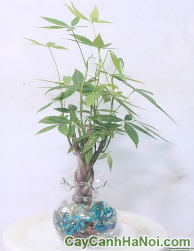 images (2)