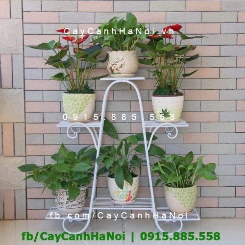 Kệ sắt nhiều tầng