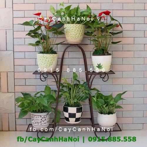 Kệ sắt nhiều tầng