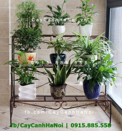 Kệ sắt 3 tầng