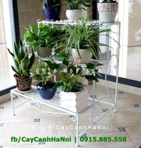 Kệ sắt 3 tầng