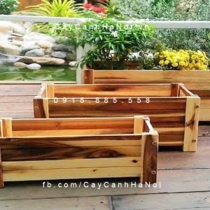 Chậu gỗ chữ nhật lớn