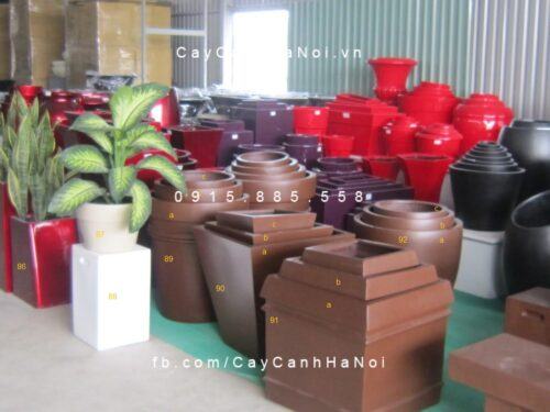 Chậu composite cao cấp