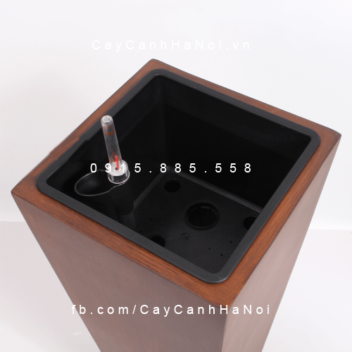 Chậu tự tưới cao cấp