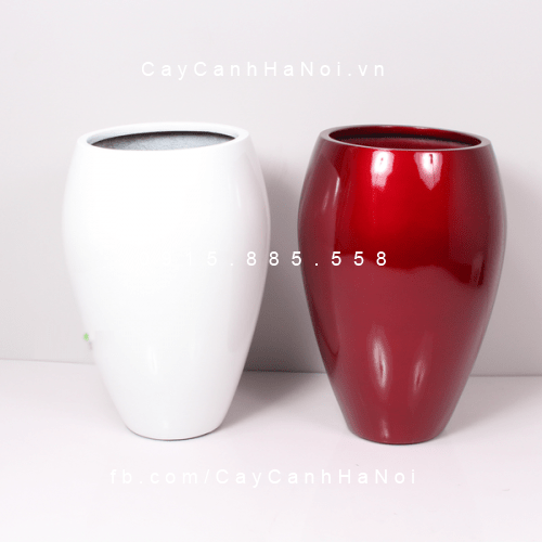 Chậu trồng cây thông minh