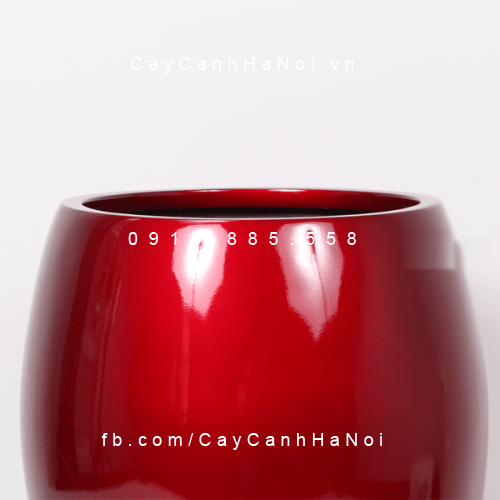 Chậu trồng cây thông minh