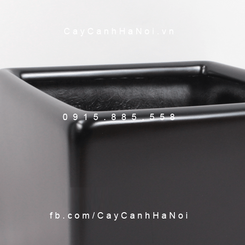 Chậu tự tưới composite