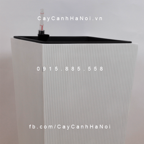 Chậu tự tưới composite