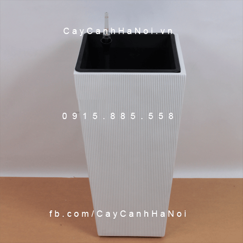 Chậu tự tưới composite