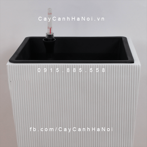 Chậu tự tưới composite