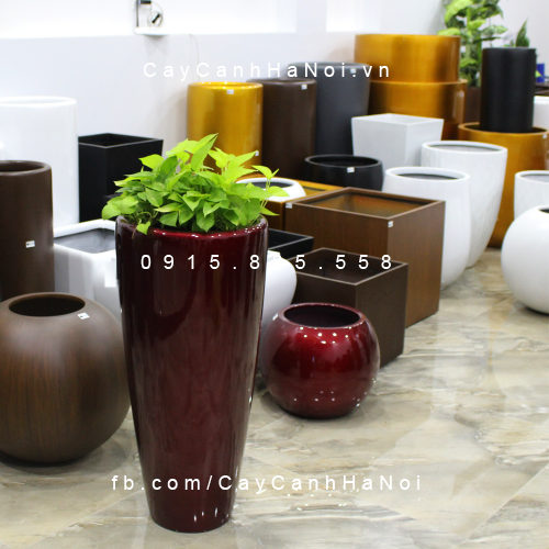 Chậu tự tưới