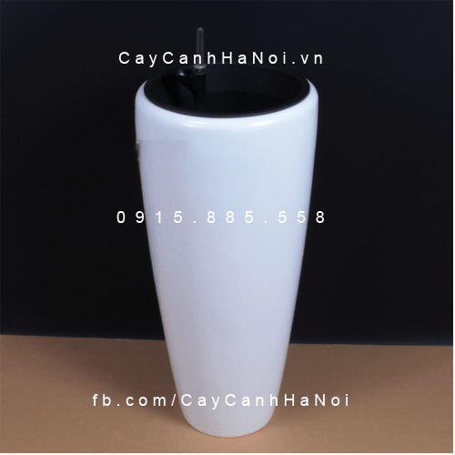 Chậu tự tưới