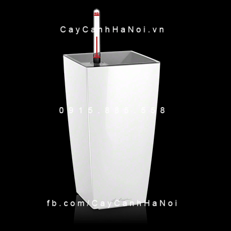 Chậu composite trồng cây tự tưới