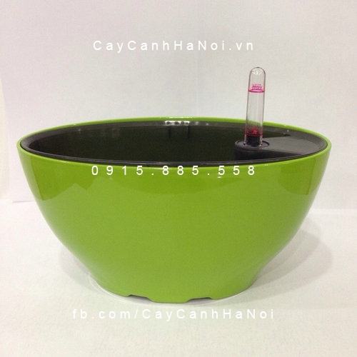 Chậu Composite tự tưới