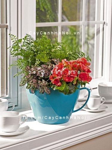 Chậu composite tự tưới