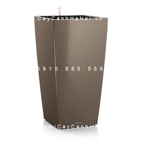 Chậu composite trồng cây tự tướ