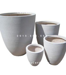 Chậu xi măng trồng cây