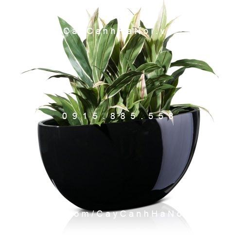 Chậu Composite Anber