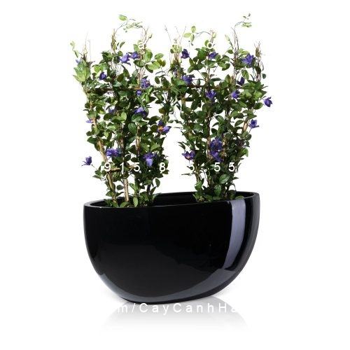Chậu Composite Anber