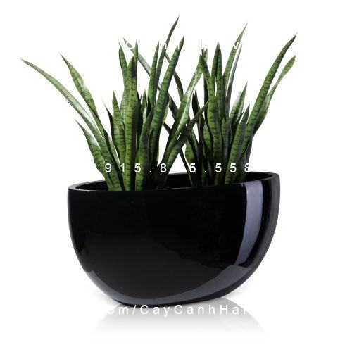 Chậu Composite Anber