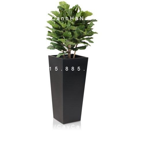 Chậu Composite Anber
