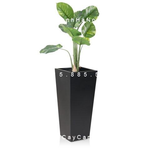 Chậu Composite Anber