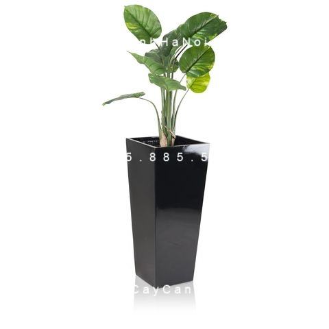 Chậu Composite Anber