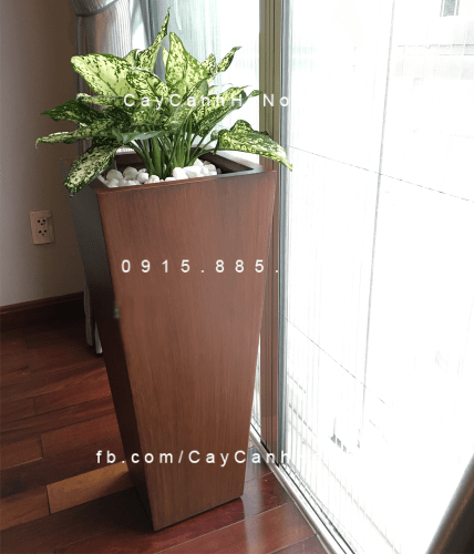 Chậu Composite Anber