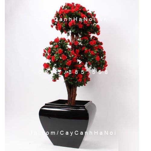Chậu Composite Anber