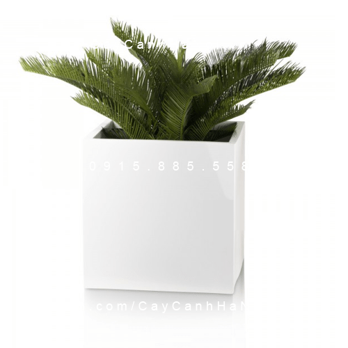 Chậu Composite Anber Chậu Composite Anber