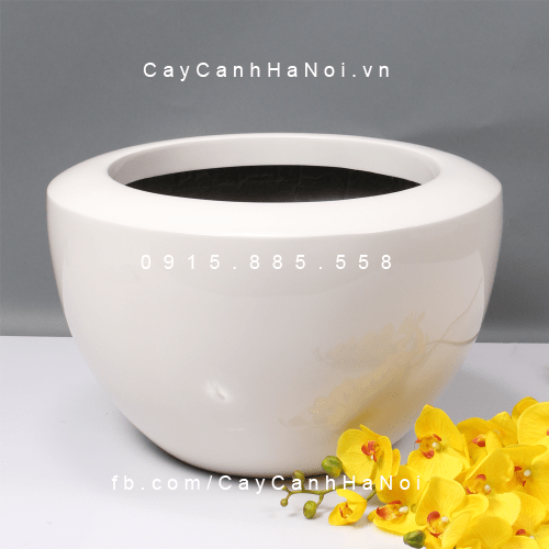 Chậu Composite Anber