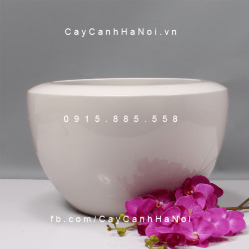 Chậu Composite Anber