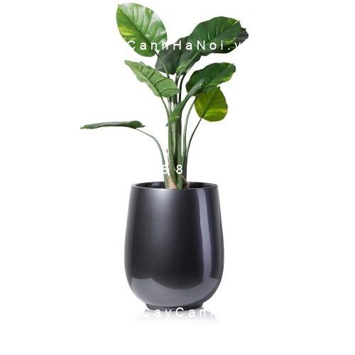 Chậu Composite Anber