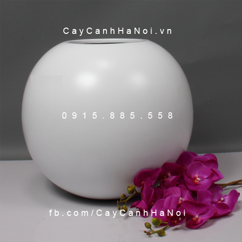 Chậu Composite Anber