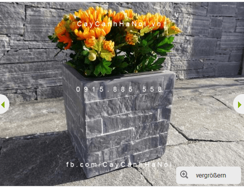 Chậu cây composite iPot vuông trồng cây| IP-00093