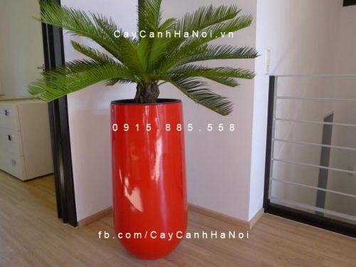 Chậu composite iPot trồng cây tròn cao| IP-00036