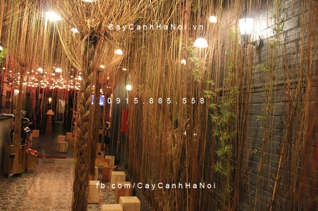 Cây thích hợp trồng trong chùa, đền hay nhà hàng để tạo cảnh quan Day-liem-ho-dang-day-to-hong-thai-3