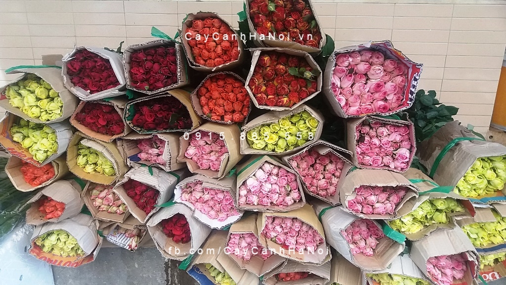 hoa cảnh ngày phụ nữ Việt Nam 20 - 10 (4) hoa cảnh ngày phụ nữ Việt Nam 20 - 10 (4)