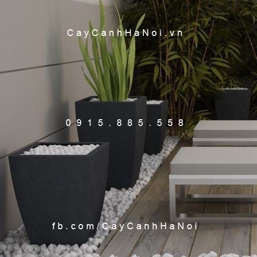 Chậu đá mài Mercy Havico vuông cách điệu| CM-262