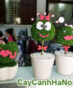 Cây May Mắn Chậu Trái Tim Trang Trí
