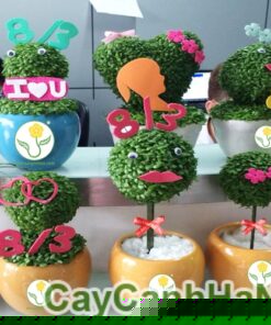 Cây May Mắn Quà Tặng Quốc Tế Phụ Nữ 02