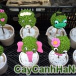 Cây May Mắn Quả Cầu Tỏ Tình