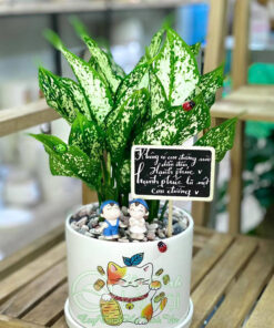 Ngọc ngân để bàn tặng người thương