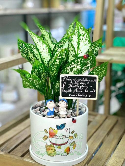 Ngọc ngân để bàn tặng người thương