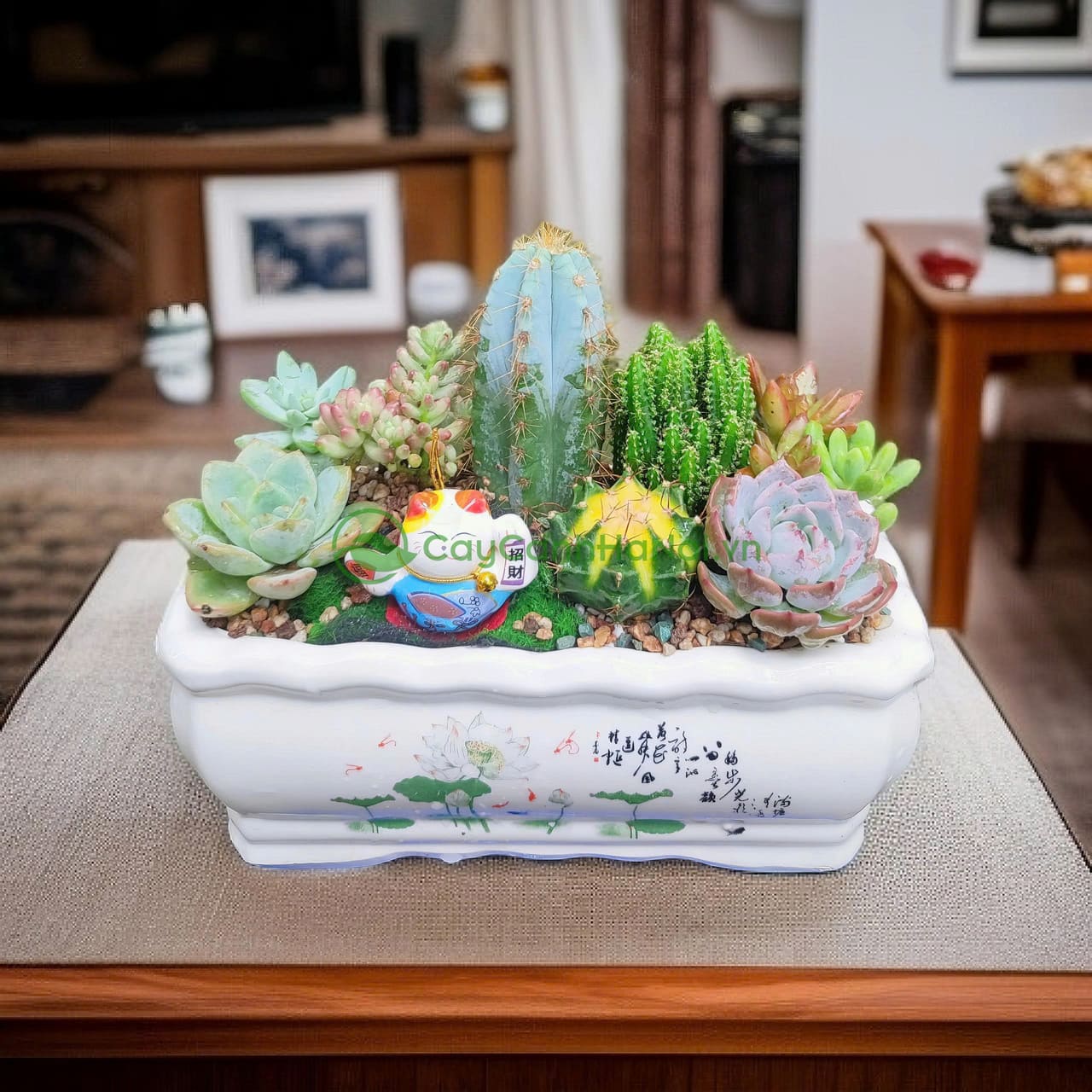 Lựa chọn đất, cây giống và chậu đúng cách để trồng sen đá đạt hiệu quả cao