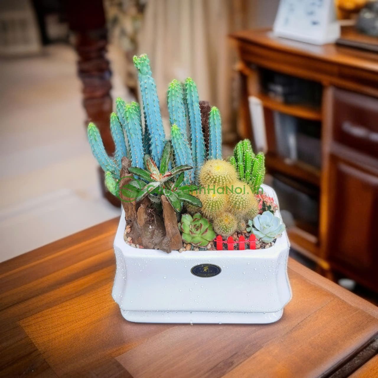 Chú ý một số điều kiện tự nhiên như ánh sáng, nước, đất, phân bón... trong quá trình trồng và chăm sóc sen đá phát triển