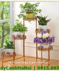 Kệ sắt trang trí sân vườn độc đáo lạ mắt