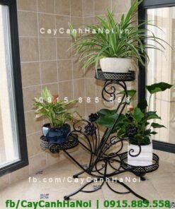 Kệ đỡ 3 tầng trang trí chậu hoa hiện đại