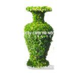 Cây gừa nghệ thuật hình bình hoa
